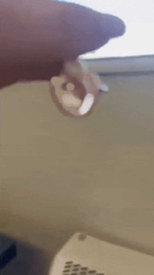 Dierbaren© Projectie Ketting